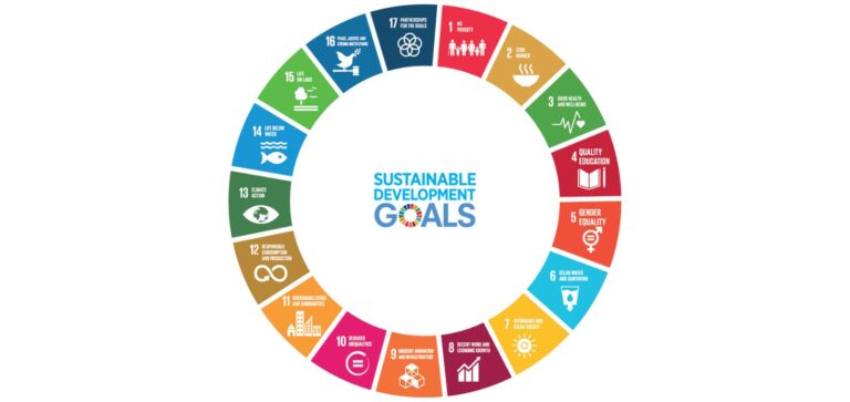 17 Objetivos, Um Chamado Global: Construindo um Futuro Sustentável